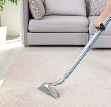 Professional-Carpet-Cleaning