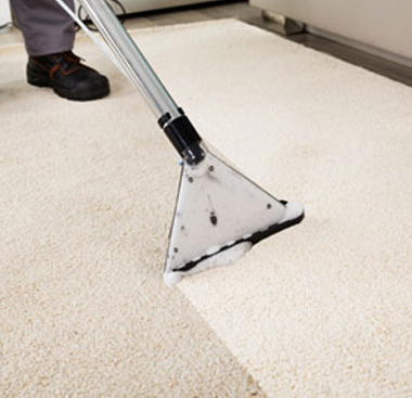 Professional Carpets Cleaners